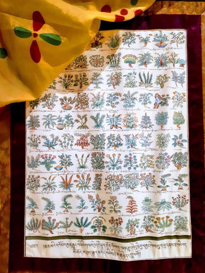 B&B Saluzzo Paesana 1718 토리노 외부 사진